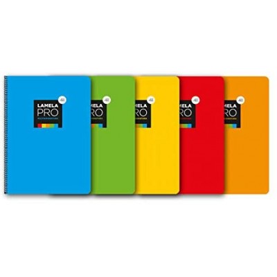 CUADERNO FOLIO EXTRA DURA 100 HOJAS 4 MM SURTIDOS LAMELA