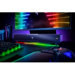 10489-Razer Leviathan V2 Negro 65 W