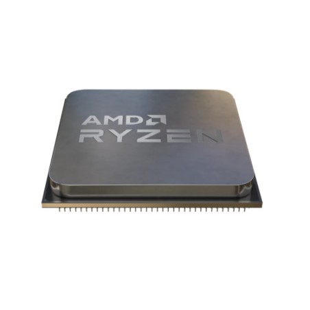 10861-AMD Ryzen 5 5500 procesador 3,6 GHz 16 MB L3 Caja