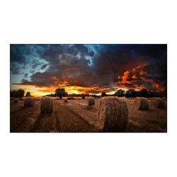 10970-Samsung LH46VMBUBGBXEN pantalla mural de video LCD Interior