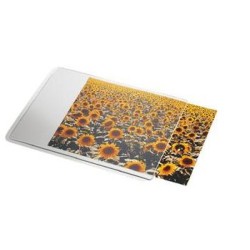 11855-ALFOMBRILLA PERSONALIZABLE DATALINE PARA RATON ESSELTE 67691