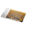 11855-ALFOMBRILLA PERSONALIZABLE DATALINE PARA RATON ESSELTE 67691