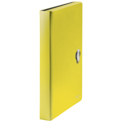 11992-CARPETA POLIPROPILENO ACORDEON 5 POSICIONES+BOLSILLO FRONTAL BROCHE GIRATORIO A4 RECYCLE AMARILLO LEITZ 46240015