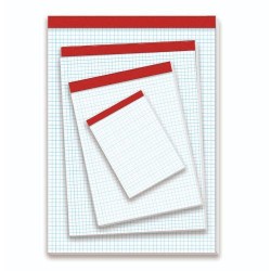 1209-BLOC DE NOTAS SIN TAPA 60 GRS. 4o (155X215MM.) 80 HOJAS CUADRICULA 4X4 PACSA 18133