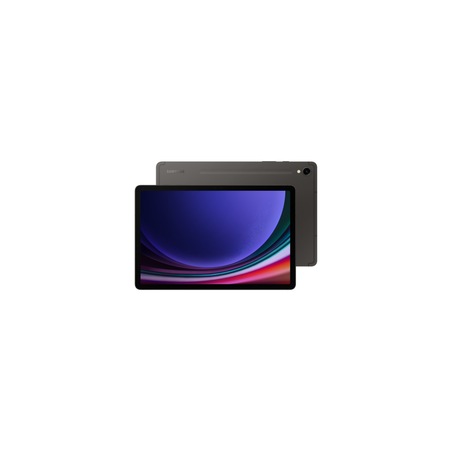 13789-SAMSUNG GALAXY TAB S9 WIFI 12/256 GRAY 13789-SAMSUNG GALAXY TAB S9 WIFI 12/256 GRAY