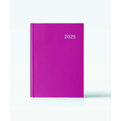 AGENDA 2025 PARIS DIA PAGINA 15X21 FUCSIA CATALAN INGRAF 355423