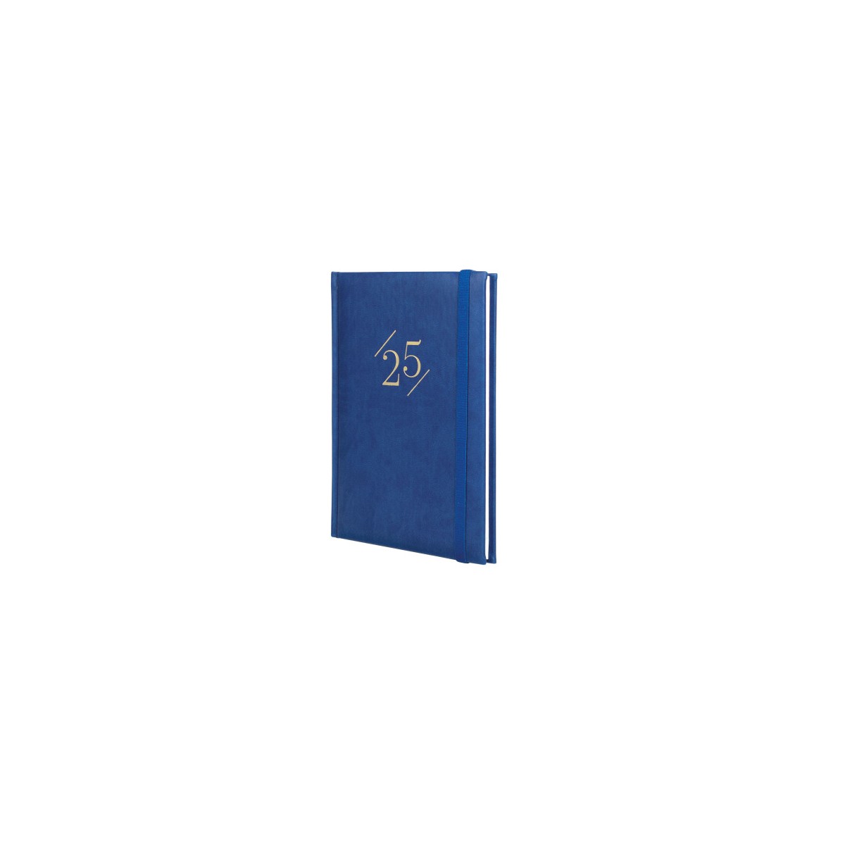 AGENDA 2025 DYNAMIC LONDON Y10 140X204MM SEMANA VISTA VERTICAL AZUL FINOCAM 625300125