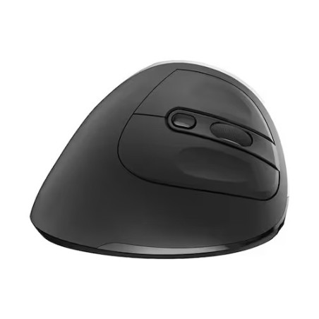 17584-Ewent EW3229 raton mano derecha RF inalambrico Optico 2400 DPI