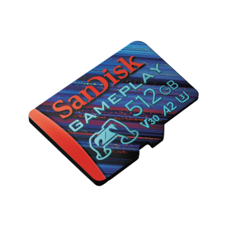 17669-SanDisk SDSQXAV-256G-GN6XN memoria flash 256 GB MicroSD UHS-I