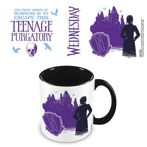 17911-TAZA DESAYUNO COLOR MIERCOLES PURGATORIO ADOLESCENTE PYRAMID INTERNATIONAL REDSTRING MGC27840