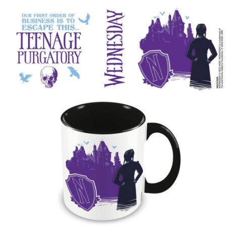 17911-TAZA DESAYUNO COLOR MIERCOLES PURGATORIO ADOLESCENTE PYRAMID INTERNATIONAL REDSTRING MGC27840