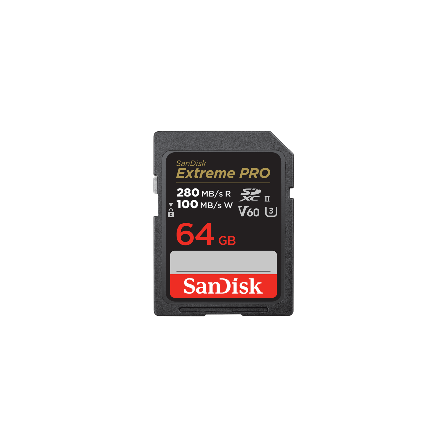19508-SanDisk SDSDXEP-064G-GN4IN memoria flash 64 GB SDXC UHS-II Clase 10 19508-SanDisk SDSDXEP-064G-GN4IN memoria flash 64 GB SDXC UHS-II Clase 10