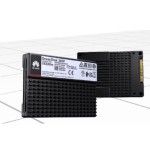 20274-HUAWEI SSD INTERNO Oceandisk 300P ES3500P V6 STLZU9NVME3840, 3.84TB SSD NVMe Disk Unit(2.5),sectorsize-512,V120-YX