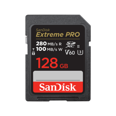 SanDisk SDSDXEP 128G GN4IN memoria flash 128 GB SDXC UHS II Clase 10