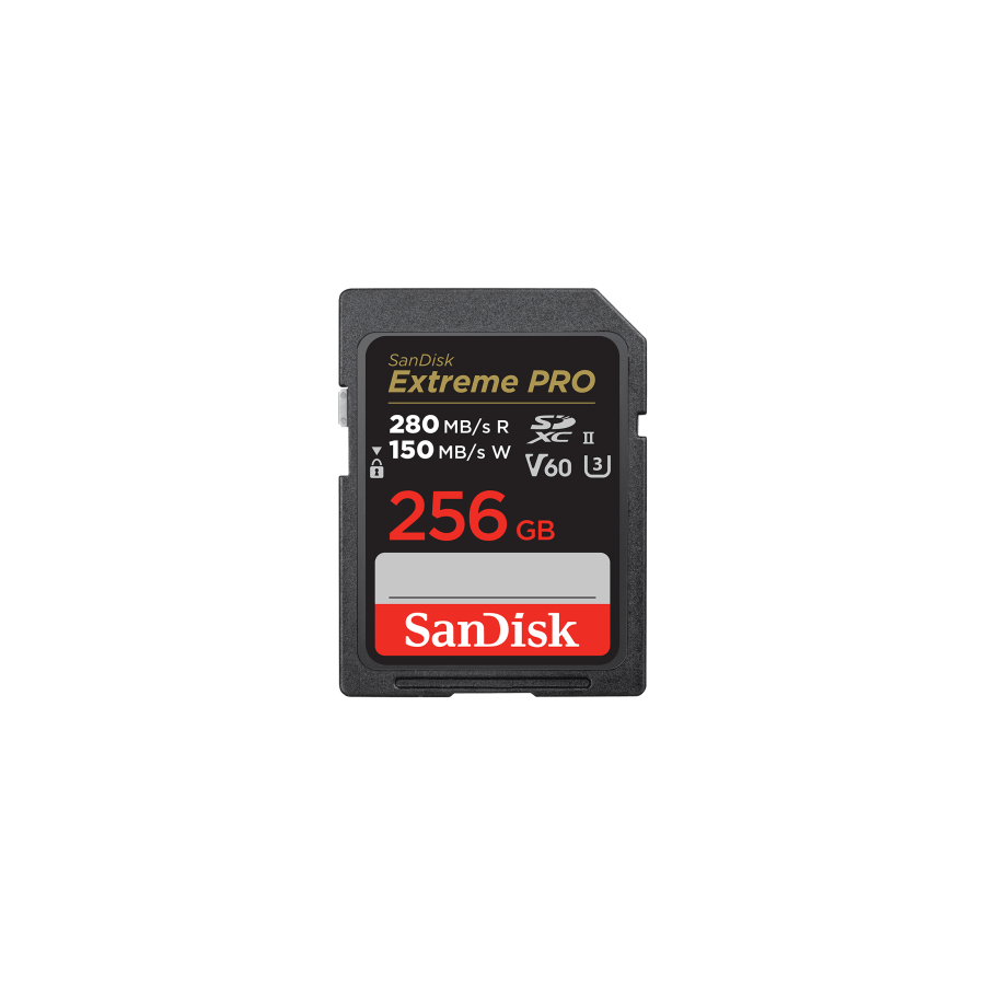 20565-SanDisk SDSDXEP-256G-GN4IN memoria flash 256 GB SDXC UHS-II Clase 10 20565-SanDisk SDSDXEP-256G-GN4IN memoria flash 256 GB SDXC UHS-II Clase 10