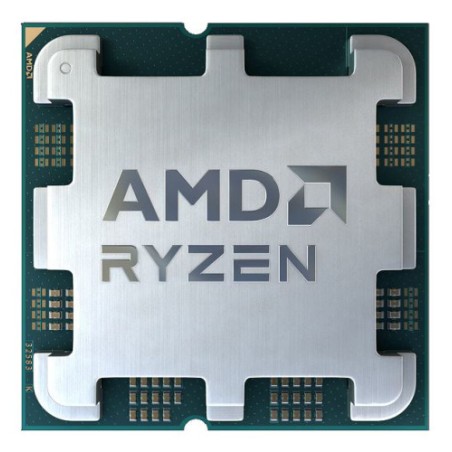 20743-AMD Ryzen 5 5500 procesador 3,6 GHz 16 MB L3