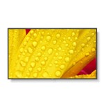 20902-NEC MultiSync M501-2 Diseno de quiosco 127 cm (50") LED 4K Ultra HD Negro Procesador incorporado