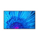20904-NEC MultiSync M491 Pantalla plana para senalizacion digital 124,5 cm (49") LCD 500 cd / m2 4K Ultra HD Negro Panta