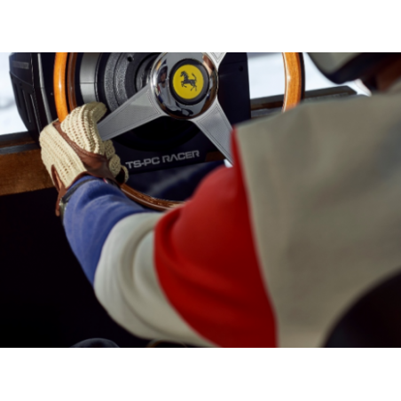 22133-THRUSTMASTER VOLANTE FERRARI 250 GTO WHEEL  ADDON PARA PC (2960822)