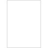 2404-CAJA 100 HOJAS ETIQUETAS BLANCAS SIN MARGENES-LASER/INYECCION DE TINTA/FOTOCOPIADORAS-210X297 MM MEGASTAR LP4MS-210