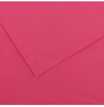 25344-PACK 25 HOJAS CARTULINA IRIS 50X65 185G FUCSIA CANSON C200040226