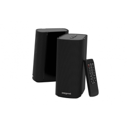 2593-Creative Labs T100 Rango completo 20 W Negro Inalambrico y alambrico