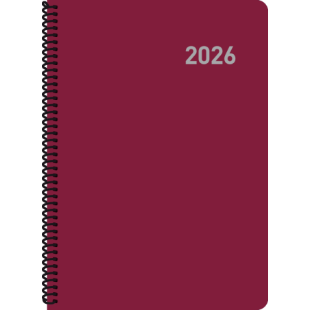 30202-AGENDA 2026 PARIS D/P 15x21 CON ESPIRAL COLORES SURTIDOS CATALAN INGRAF 356425