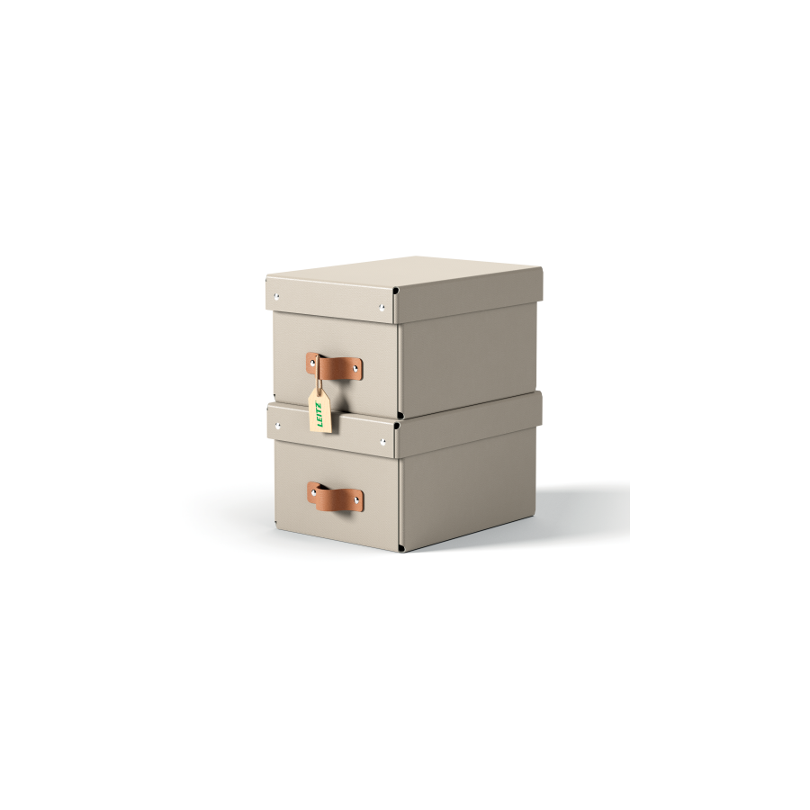 32210-PACK 2 CAJAS DE ALMACENAMIENTO CARTON PEQUENA COLOR BEIGE LEITZ 61470012 32210-PACK 2 CAJAS DE ALMACENAMIENTO CARTON PEQUENA COLOR BEIGE LEITZ 61470012