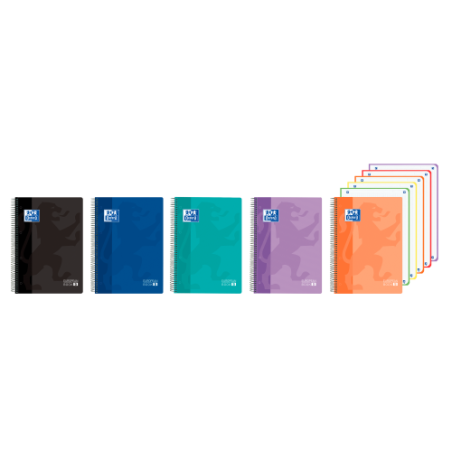 32872-CUADERNO EUROPEANBOOK 5 TAPA PLASTICO CLASSIC A4+ 120H VIVOS OXFORD 400196862 OXFORD 400196862