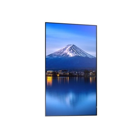 33942-SHARP PROFESSIONAL LARGE FORMAT DISPLAYS MODEL PN-P506, 50" P-SERIES LARGE FORMAT DISPLAY, UHD, 700CD/M2, D-LED BA