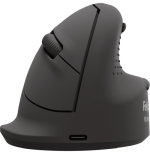 34800-RATON ERGONOMICO VERTICAL BREYTA PLUS+ TALLA L PARA DIESTROS FELLOWES 100143582