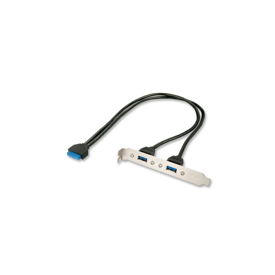 36304-Lindy 33096 cable USB interno