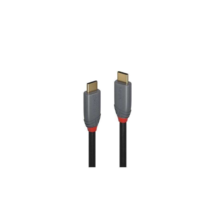 36659-Lindy 36903 cable USB USB 3.2 Gen 2 (3.1 Gen 2) 2 m USB C Negro