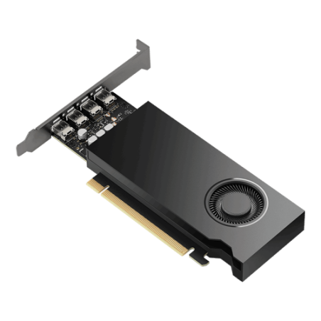 39062-PNY VCNRTX2000EADA-PL tarjeta grafica NVIDIA RTX 2000E Ada 16 GB GDDR6