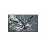 39100-PHILIPS BASIC 18X7 (NO ANDROID) 65" Q-LINE 18/7, 4K UHD, BASIC FAILOVER, USB AUTO PLAY, CMND , SMART PLAYER, LAN (