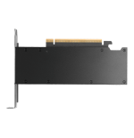 39111-PNY RTX PRO 2000 Blackwell NVIDIA 16 GB GDDR7