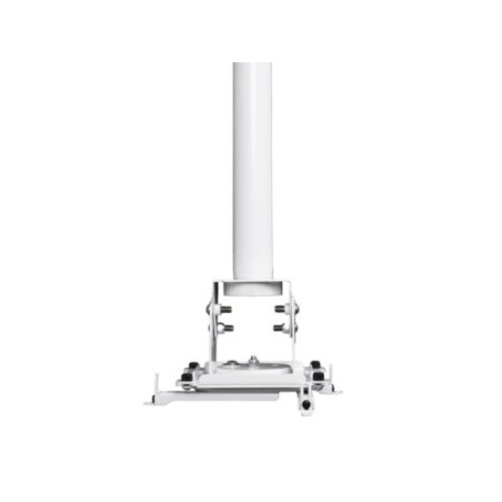 40195-Chief VPAUW montaje para projector Techo Blanco