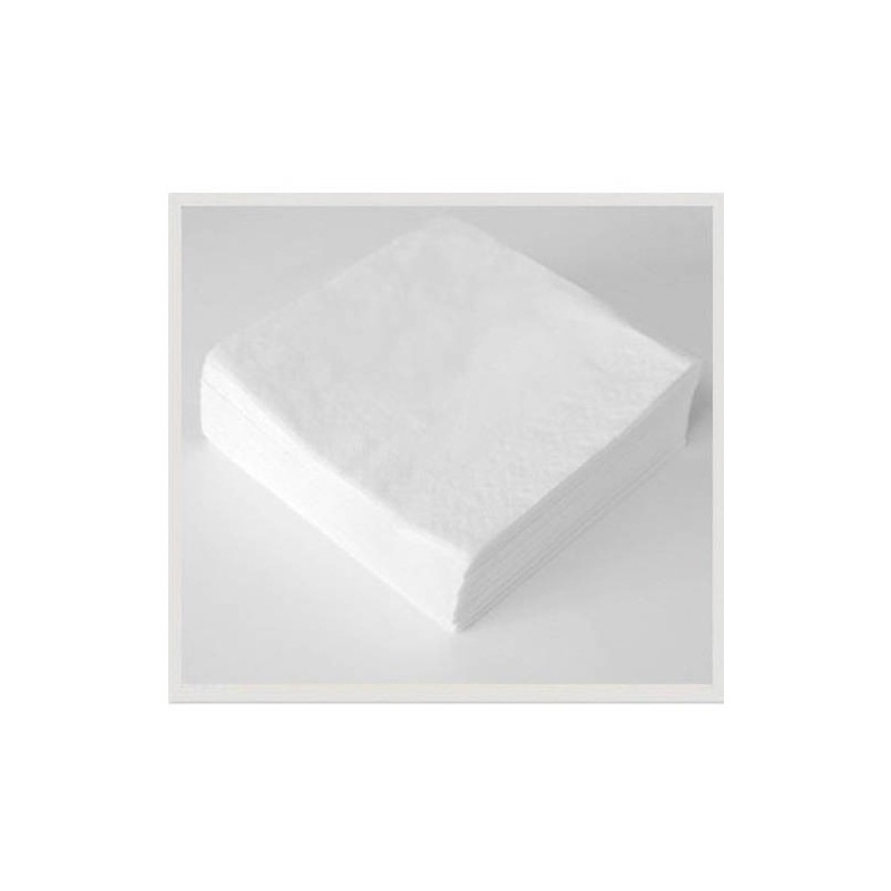 4319-PAQUETE 100 SERVILLETAS 2 CAPAS 30X30 TISOFT CE538