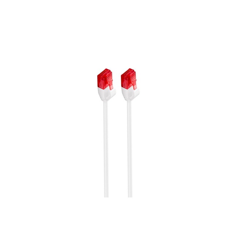 4410-Ewent IM1039 cable de red 2 m Cat6 U/UTP (UTP) Blanco 4410-Ewent IM1039 cable de red 2 m Cat6 U/UTP (UTP) Blanco