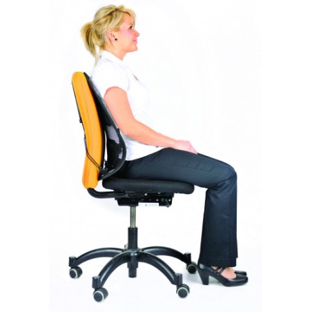 461-RESPALDO LUMBAR MESH PROFESS FELLOWES 8029901