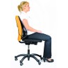 461-RESPALDO LUMBAR MESH PROFESS FELLOWES 8029901