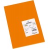 4901-PAQUETE 50 HOJAS CARTULINA IRIS A4 185G NARANJA GUARRO CANSON C200040158
