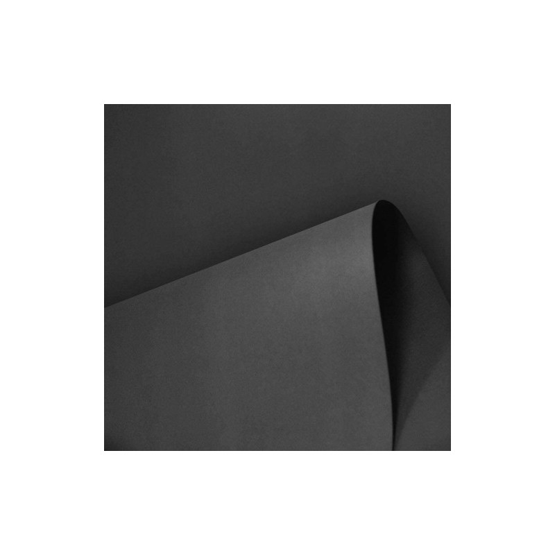 4905-PAQUETE 25 HOJAS CARTULINA IRIS 50X65 185G NEGRO GUARRO CANSON C200040245 4905-PAQUETE 25 HOJAS CARTULINA IRIS 50X65 185G NEGRO GUARRO CANSON C200040245