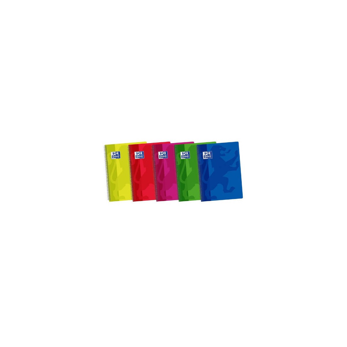 CUADERNO TAPA PLASTICO 4º 80 HOJAS 4X4 COLORES SURTIDOS OXFORD 400044180