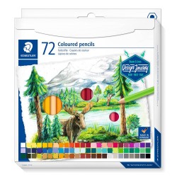 5210-CALA DE CARTON CON 72 LAPICES, COLORES SURTIDOS STAEDTLER 146C C72