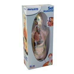 5591-JUEGO ANATOMIA HUMANA 11 PIEZAS 50 CM MINILAND 99020