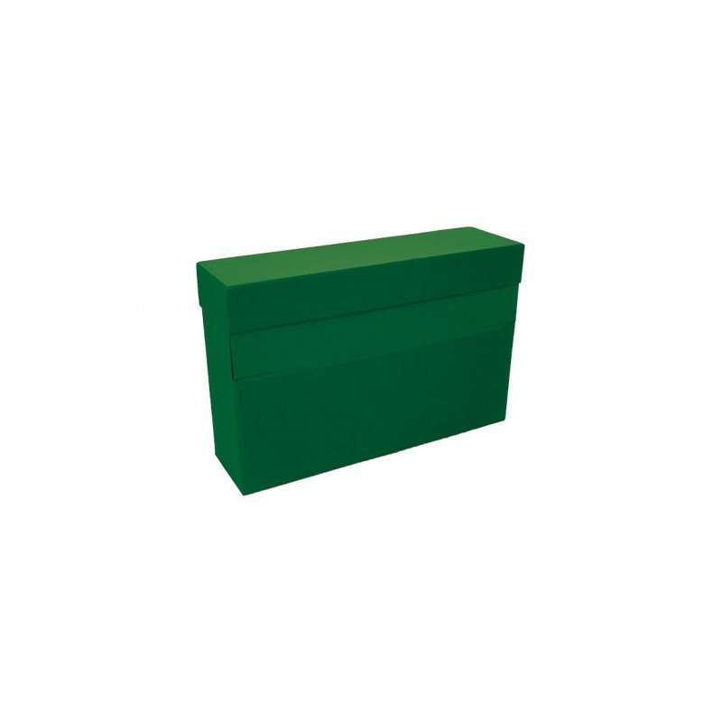6918-CAJA TRANSFERENCIA A4 CARTON FORRADO EN GELTEX (35X25,5X 11 CM) VERDE MARIOLA 1675VE 6918-CAJA TRANSFERENCIA A4 CARTON FORRADO EN GELTEX (35X25,5X 11 CM) VERDE MARIOLA 1675VE