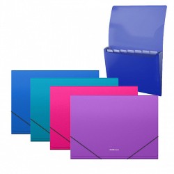 7033-ARCHIVADOR ACORDEON DIAGONAL VIVID, 12 FUNDAS, A4, COLORES SURTIDOS ERICH KRAUSE 50419