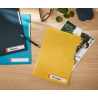 7514-P-3 DOSSIER PRIVACIDAD COSY AMARILLO LEITZ 47080019