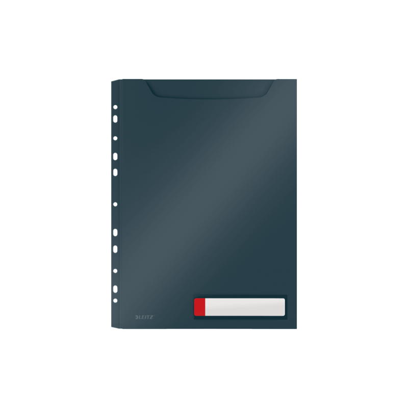 7519-P-3 FUNDA PRIV. COSY GRAN CAPACIDAD GRIS LEITZ 46680089 7519-P-3 FUNDA PRIV. COSY GRAN CAPACIDAD GRIS LEITZ 46680089